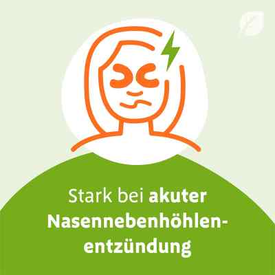 Sinupret extract überzogene Tabletten bei apo-discounter.de bestellen