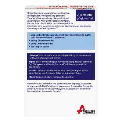 Doppelherz Glucosamin Plus 800 system Kapseln bei apo-discounter.de bestellen