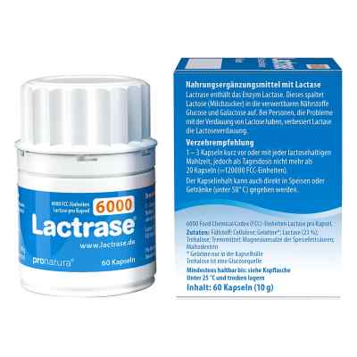Lactrase 6.000 Fcc Kapseln bei apo-discounter.de bestellen