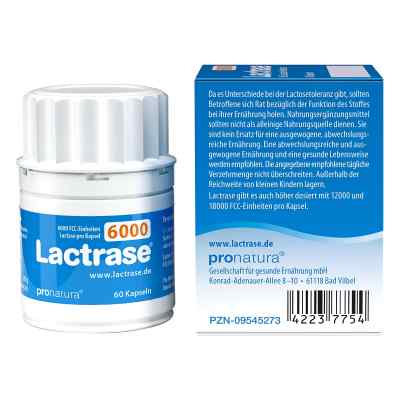 Lactrase 6.000 Fcc Kapseln bei apo-discounter.de bestellen