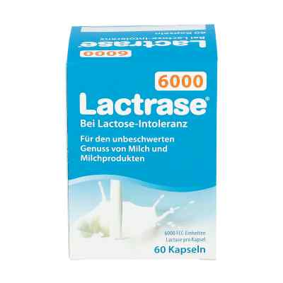 Lactrase 6.000 Fcc Kapseln bei apo-discounter.de bestellen