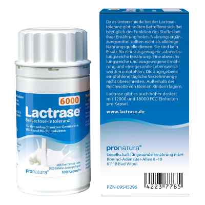 Lactrase 6.000 Fcc Kapseln bei apo-discounter.de bestellen