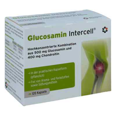 Glucosamin Intercell Kapseln bei apo-discounter.de bestellen
