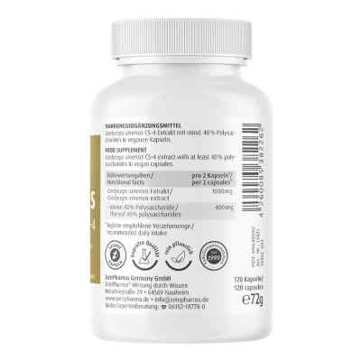 Cordeyceps Cs-4 Kapseln bei apo-discounter.de bestellen