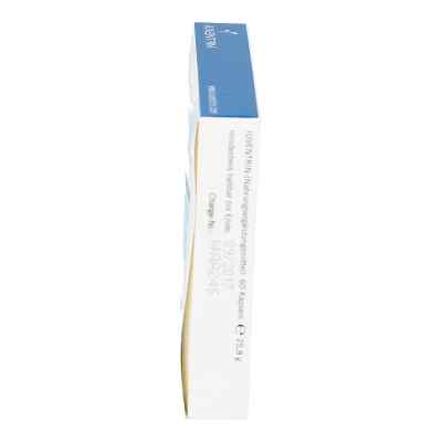 Iuventrin Potenzmittel natürl. Inhaltsstoffe Kapsel (n) bei apo-discounter.de bestellen