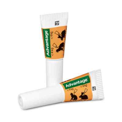 Advantage 40 mg für kl.Katzen und kl.Zierkaninchen bei apo-discounter.de bestellen