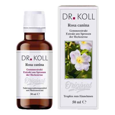 Gemmoextrakt Heckenrose Tropfen bei apo-discounter.de bestellen