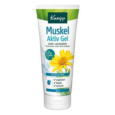 Kneipp Muskel Aktiv Gel bei apo-discounter.de bestellen