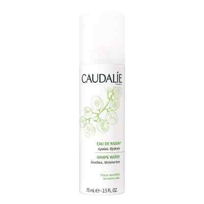Caudalie Eau de raisin Spray bei apo-discounter.de bestellen
