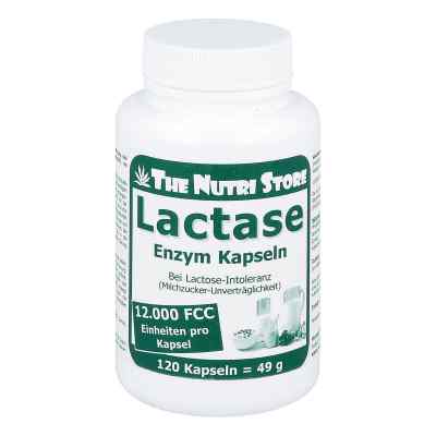 Lactase 12000 Fcc Enzym Kapseln bei apo-discounter.de bestellen