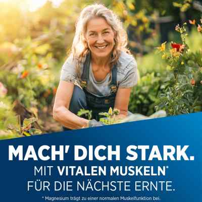Biolectra Magnesium 400 mg ultra Kapseln bei apo-discounter.de bestellen