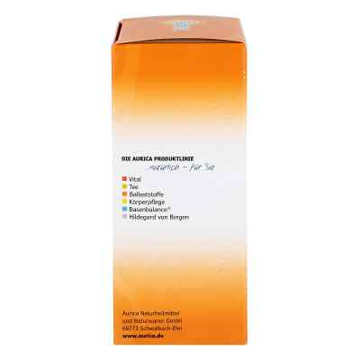 Flohsamen indische bei apo-discounter.de bestellen