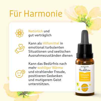 Bachblüten Murnauer Original Tropfen nach Doktor bach bei apo-discounter.de bestellen