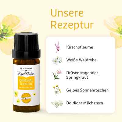 Bachblüten Murnauer Original Globulini noctu Doktor Bach bei apo-discounter.de bestellen