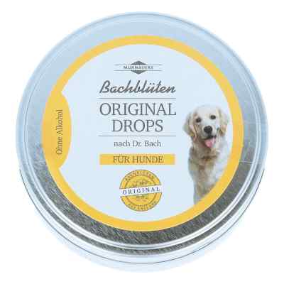 Bachblüten Murnauer Original Hunde Drops bei apo-discounter.de bestellen