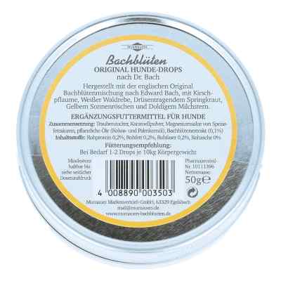 Bachblüten Murnauer Original Hunde Drops bei apo-discounter.de bestellen