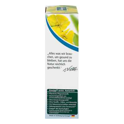 Kneipp Gesichtscreme Nachtkerze+5% Urea bei apo-discounter.de bestellen