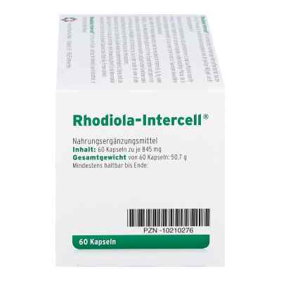 Rhodiola Intercell Kapseln bei apo-discounter.de bestellen