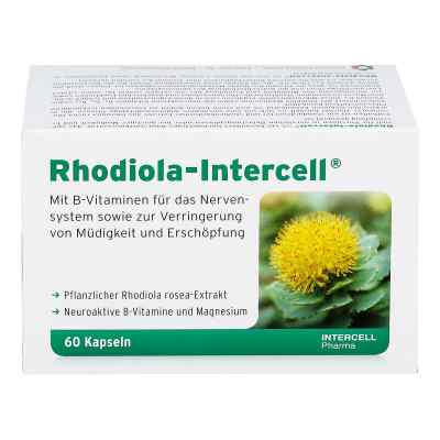 Rhodiola Intercell Kapseln bei apo-discounter.de bestellen