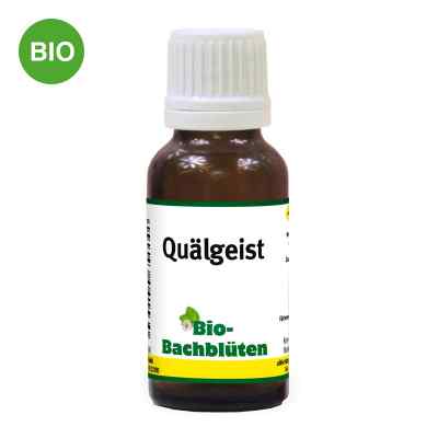 Bachblüte Quälgeist für Katzen