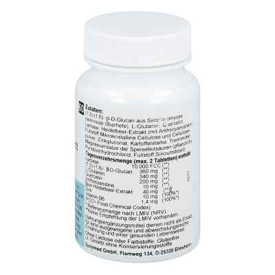 Intest protect Tabletten bei apo-discounter.de bestellen