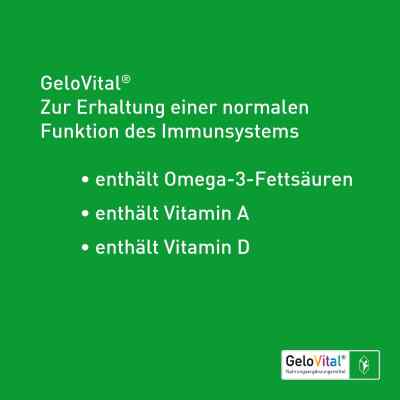 Gelovital Nahrungsergänzungsmittel Kapseln bei apo-discounter.de bestellen