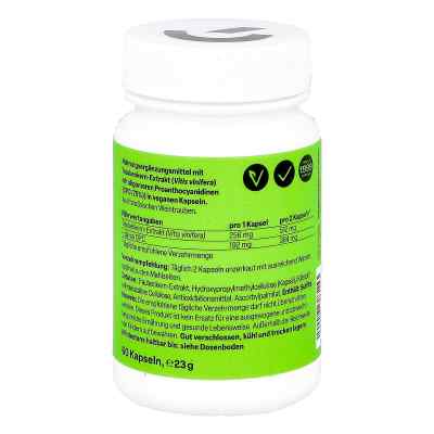 Opc nativ Kapseln 192 mg reines Opc bei apo-discounter.de bestellen