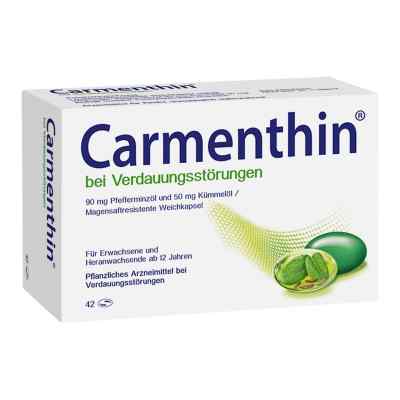 Carmenthin bei Verdauungsstörungen bei apo-discounter.de bestellen