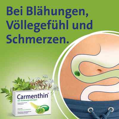 Carmenthin bei Verdauungsstörungen bei apo-discounter.de bestellen