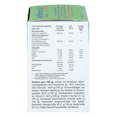 Arthrovitan Plus Kapseln bei apo-discounter.de bestellen