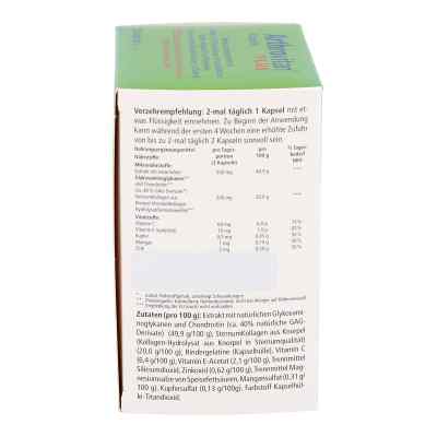 Arthrovitan Plus Kapseln bei apo-discounter.de bestellen