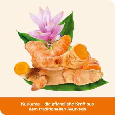 Curcumin-loges Kapseln bei apo-discounter.de bestellen