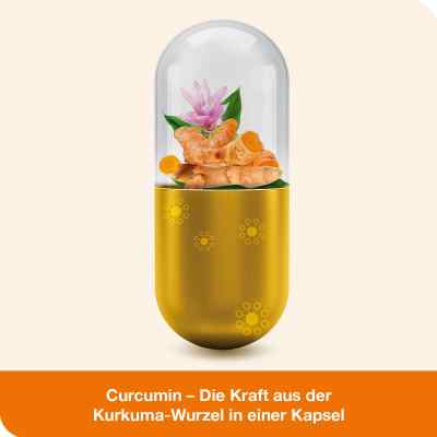 Curcumin-loges Kapseln bei apo-discounter.de bestellen