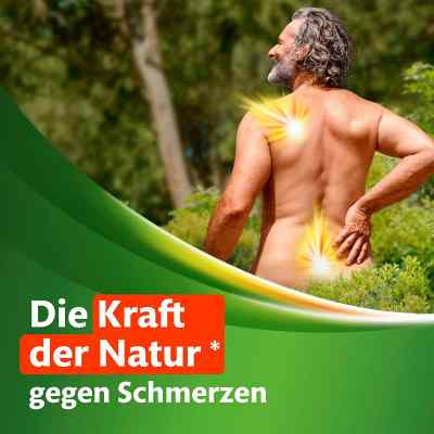 Kytta Schmerzsalbe bei apo-discounter.de bestellen