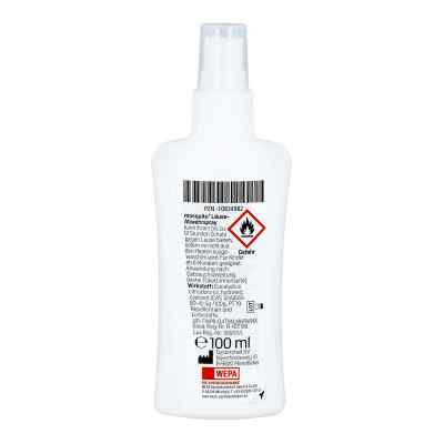 Mosquito Läuse Abwehr Pumpspray bei apo-discounter.de bestellen