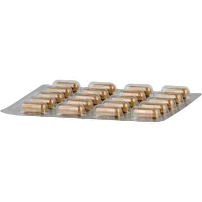 Vitamin K2 Mk-7 Vegi-kapseln bei apo-discounter.de bestellen