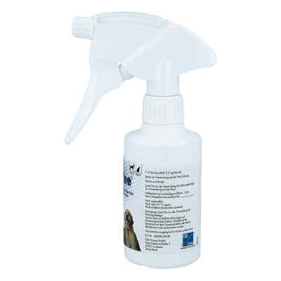 Amflee 2,5 mg/ml Spray Lösung für Katzen und Hunde bei apo-discounter.de bestellen