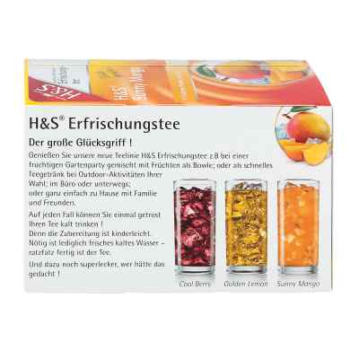 H&s Sunny Mango Filterbeutel bei apo-discounter.de bestellen