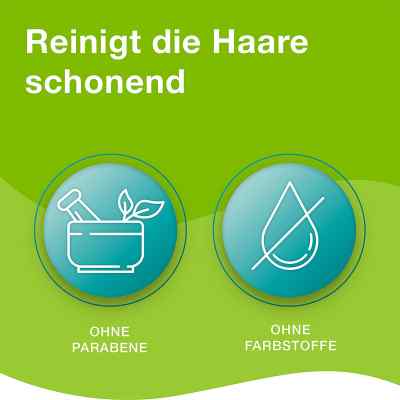 Priorin Shampoo - ergänzende Pflege für kraftloses Haar bei apo-discounter.de bestellen