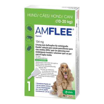 Amflee 134 mg Lösung zur, zum Auftropfen für mittelgr.Hunde bei apo-discounter.de bestellen