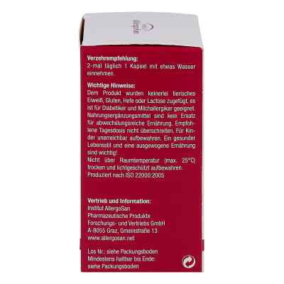 Allergosan Zink 100 pro Kapseln bei apo-discounter.de bestellen