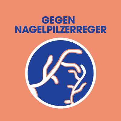 Sagrotan Wäsche-hygienespüler Desinfektion bei apo-discounter.de bestellen