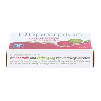 Utipro plus Kapseln bei apo-discounter.de bestellen