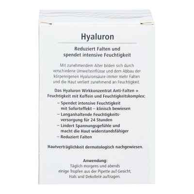 Hyaluron Wirkkonzentrat Anti-falten+feuchtigkeit bei apo-discounter.de bestellen