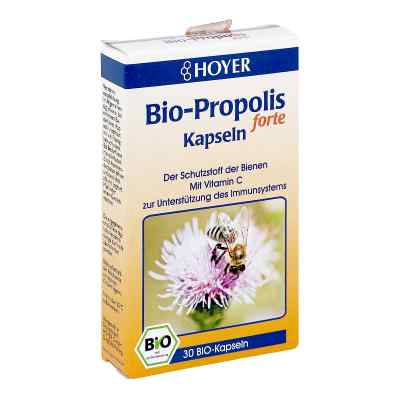 Hoyer Propolis forte Kapseln Bio Kapseln bei apo-discounter.de bestellen