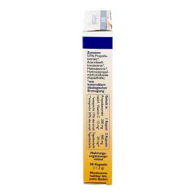 Hoyer Propolis forte Kapseln Bio Kapseln bei apo-discounter.de bestellen