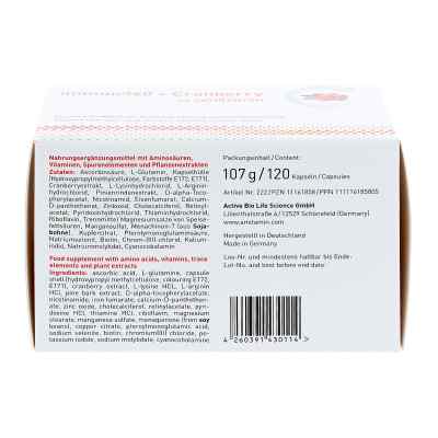 Amitamin immun360+Cranberry Kapseln bei apo-discounter.de bestellen