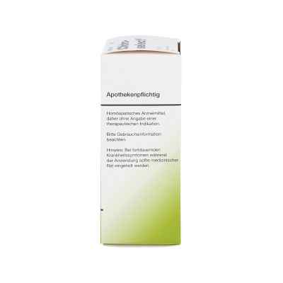 Chiroselect bei apo-discounter.de bestellen