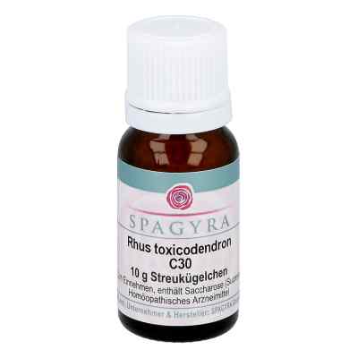 Rhus Toxicodendron C30 Globuli bei apo-discounter.de bestellen