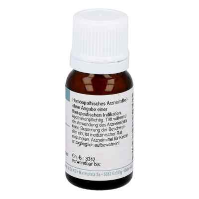 Rhus Toxicodendron C30 Globuli bei apo-discounter.de bestellen